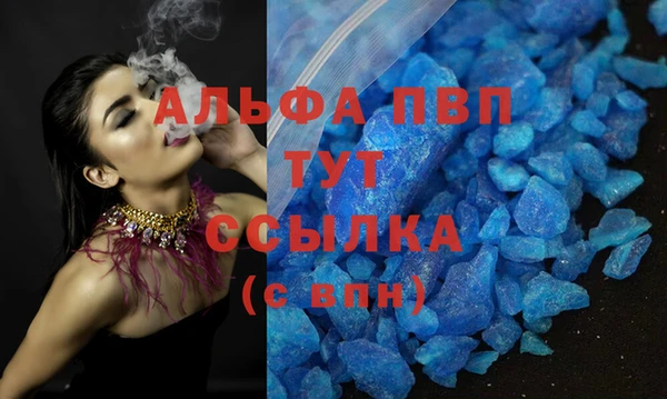 гашик Дмитриев