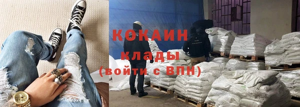 эйфоретик Арсеньев