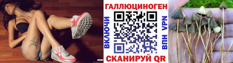 магазин  наркотиков  Коряжма  блэк спрут вход  Галлюциногенные грибы Cubensis 